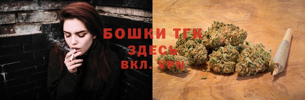 спайс Гусь-Хрустальный