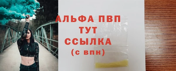 спайс Гусь-Хрустальный