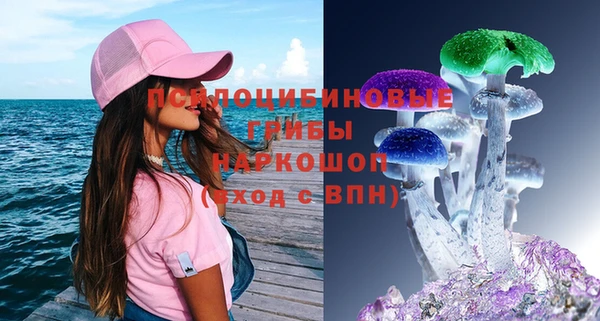 амф Гусиноозёрск