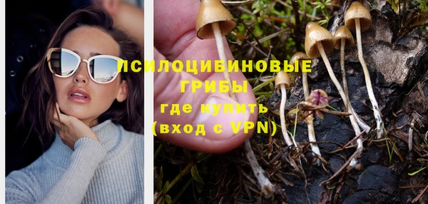 скорость Гусев