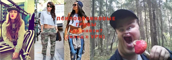 амф Гусиноозёрск